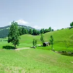 Near Gondola In Tyrol Apartment Holzham