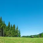 Apartment Near Gondola In Tyrol Holzham