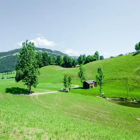 Near Gondola In Tyrol Appartamento Holzham