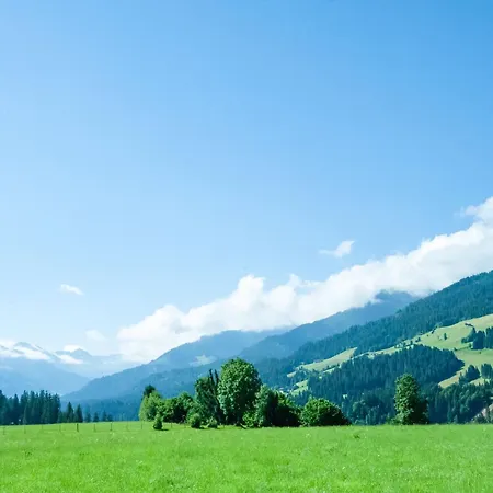 Near Gondola In Tyrol Lägenhet