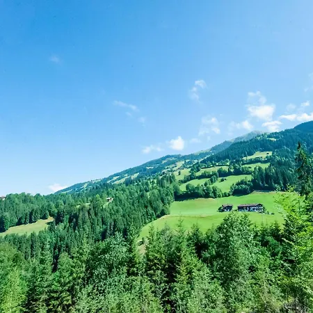 Lägenhet Near Gondola In Tyrol Holzham