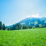 Near Gondola In Tyrol *